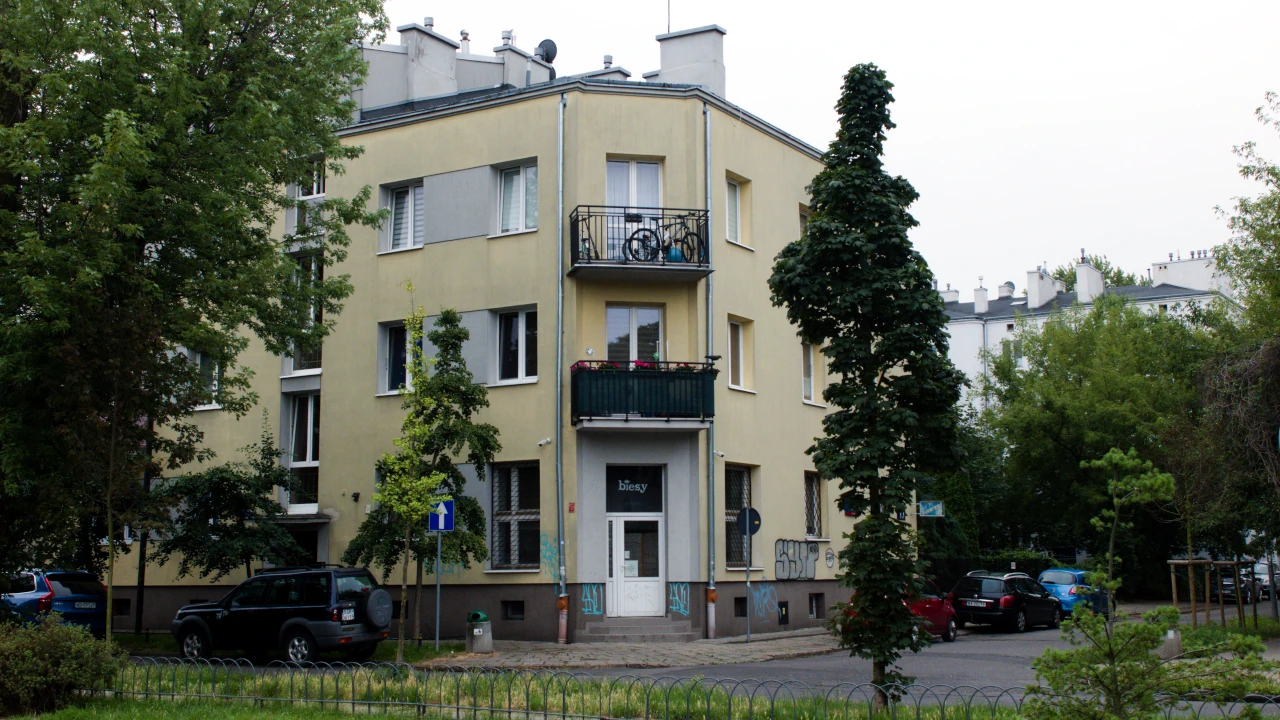 zdjęcie