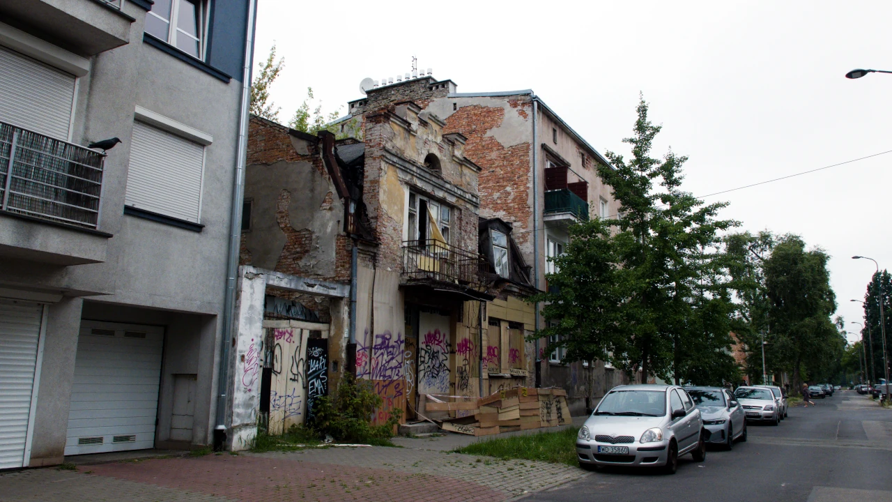 zdjęcie