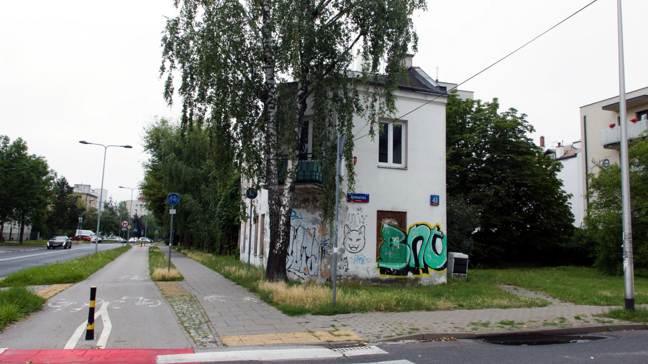 zdjęcie