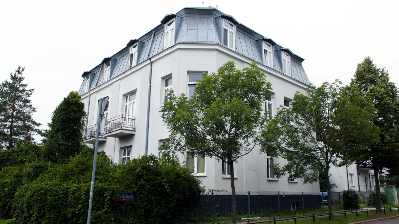 zdjęcie