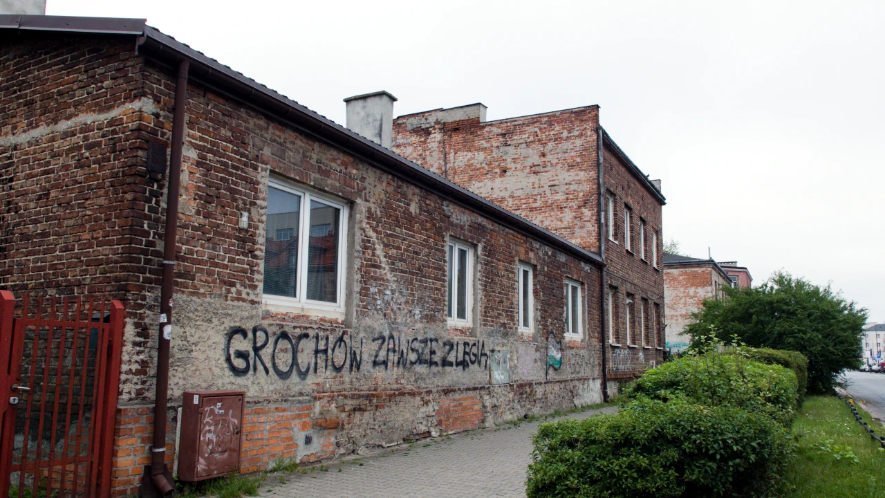zdjęcie