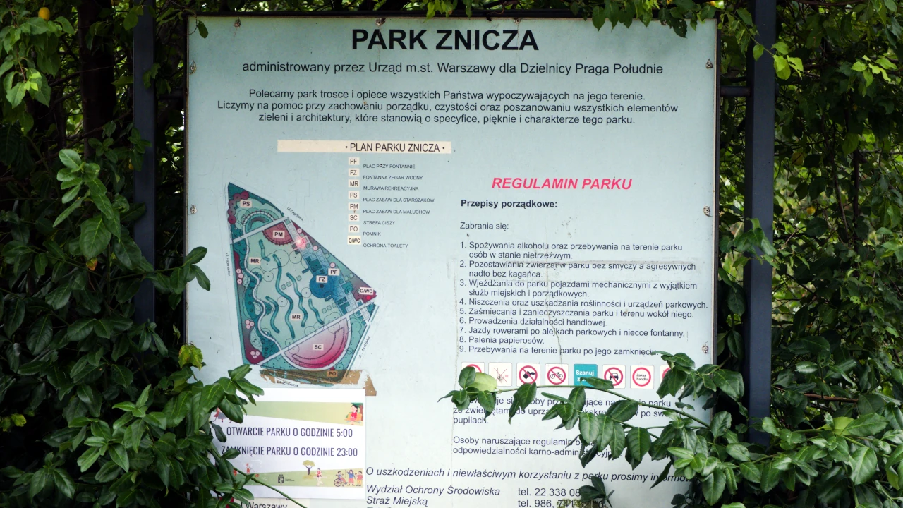 zdjęcie