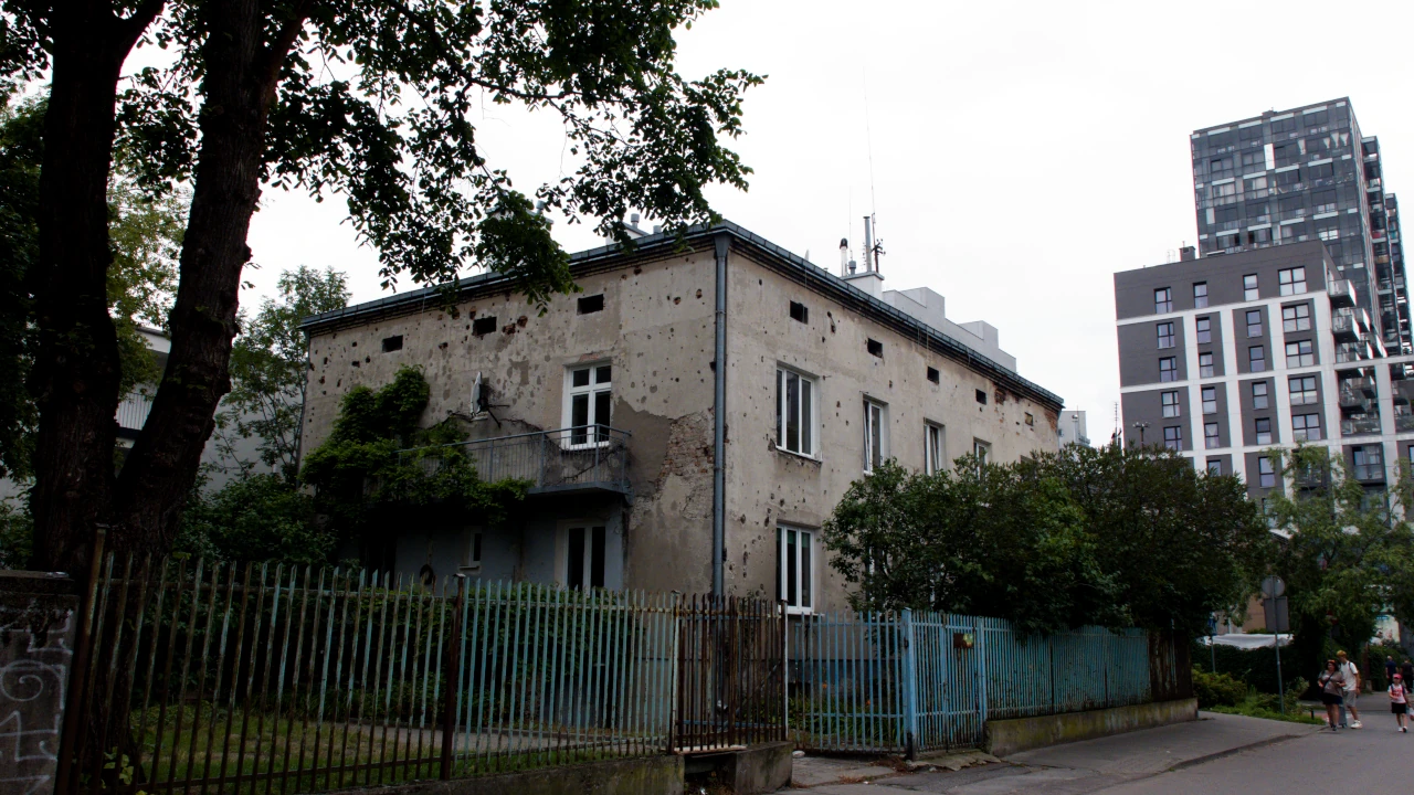 zdjęcie