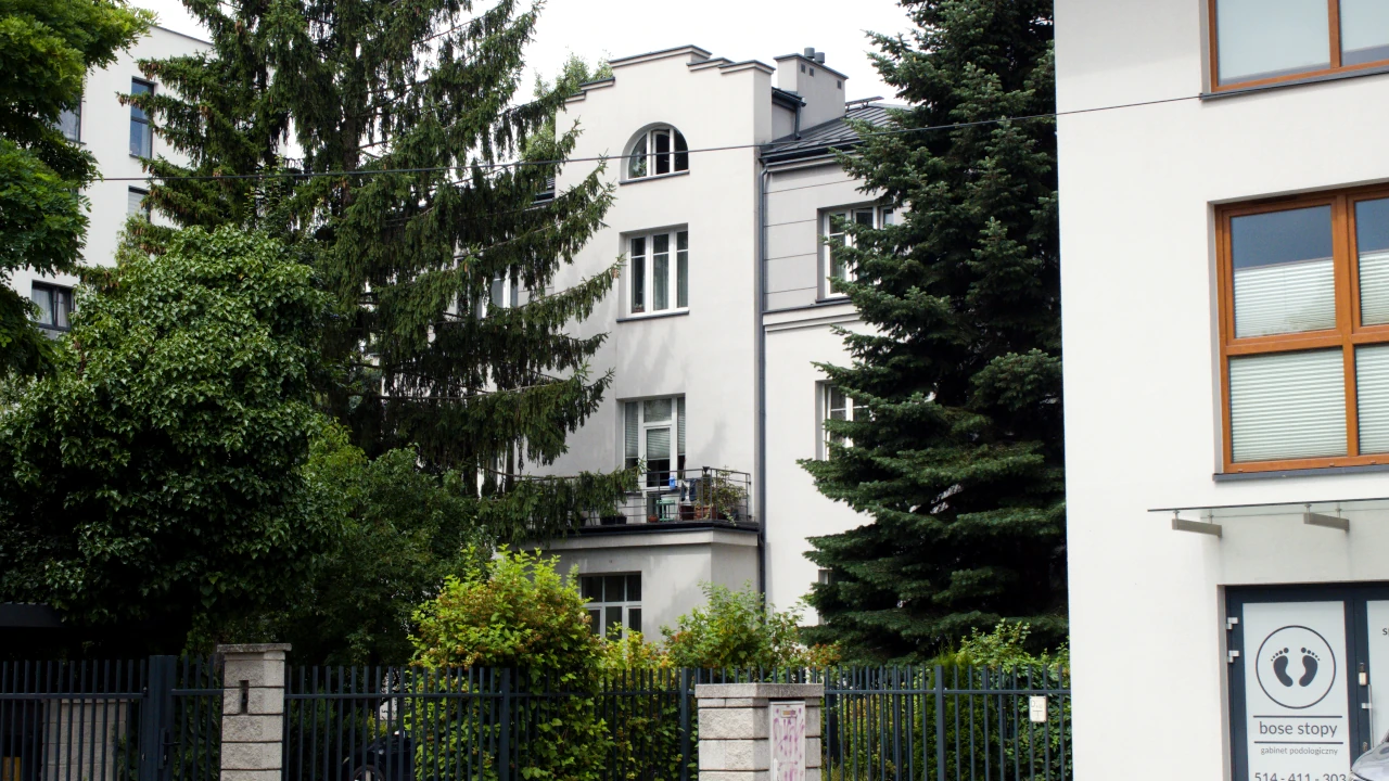 zdjęcie