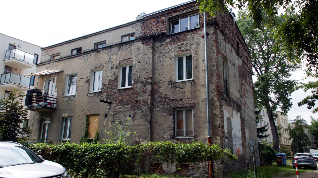 zdjęcie