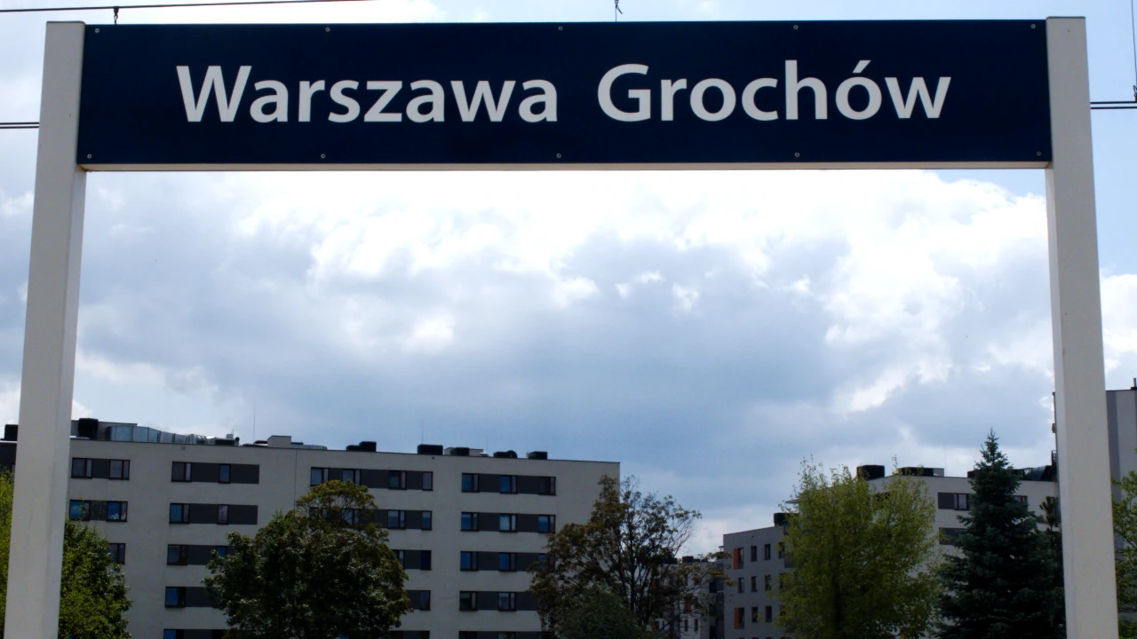 zdjęcie