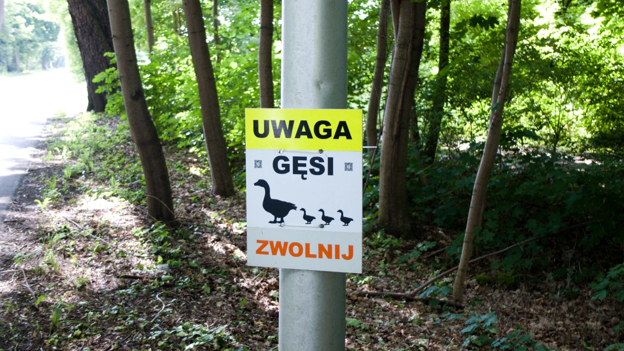 Nienatarczywy Tarczyn