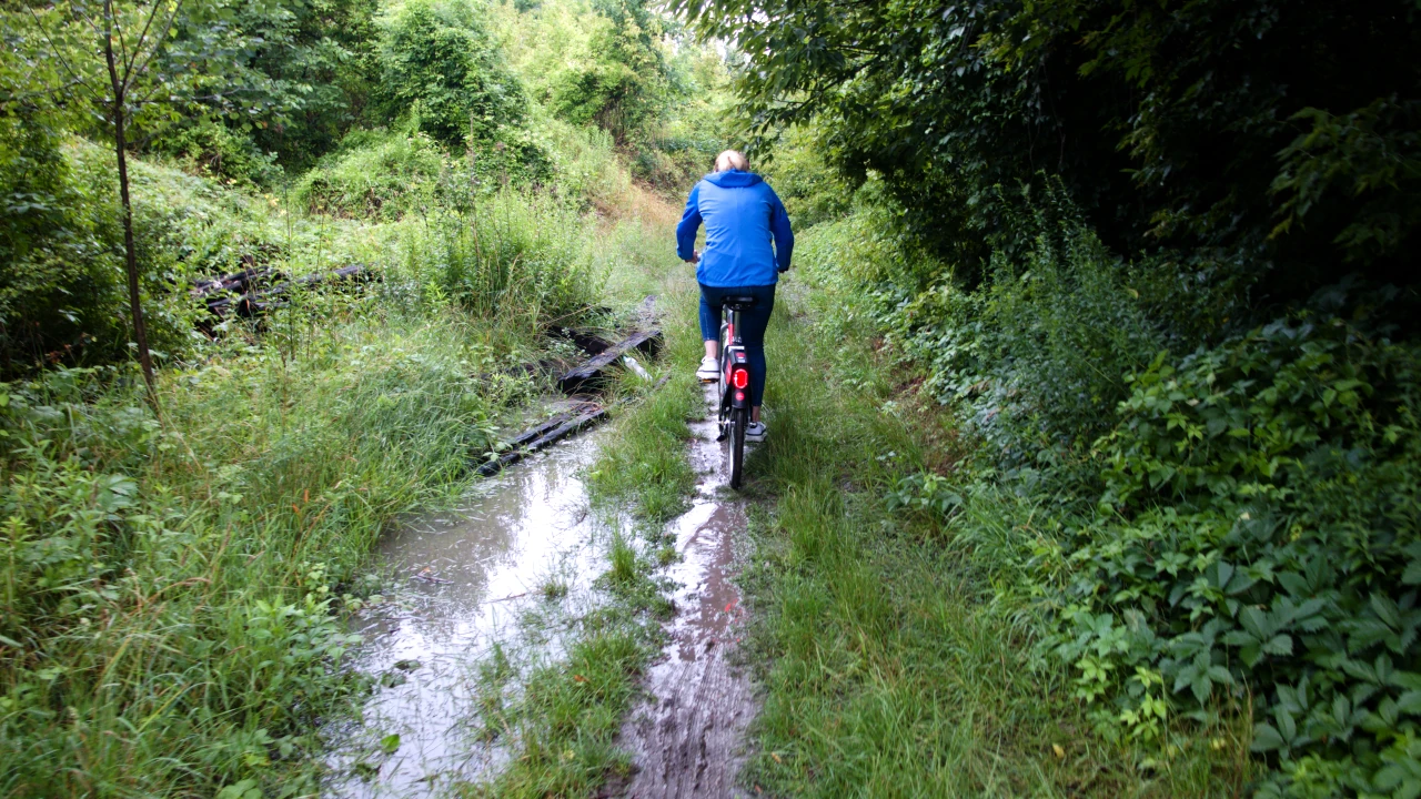 Osoba na rowerze porusza się rozmokniętą ścieżką pełną kałuż. Po obu stronach ścieżki ściana krzewów.