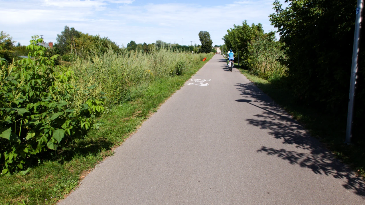 Po drodze dla rowerów biegnącej między krzakami poruszają się osoby na rowerach. Po lewej stronie widać pomarańczy kształt.