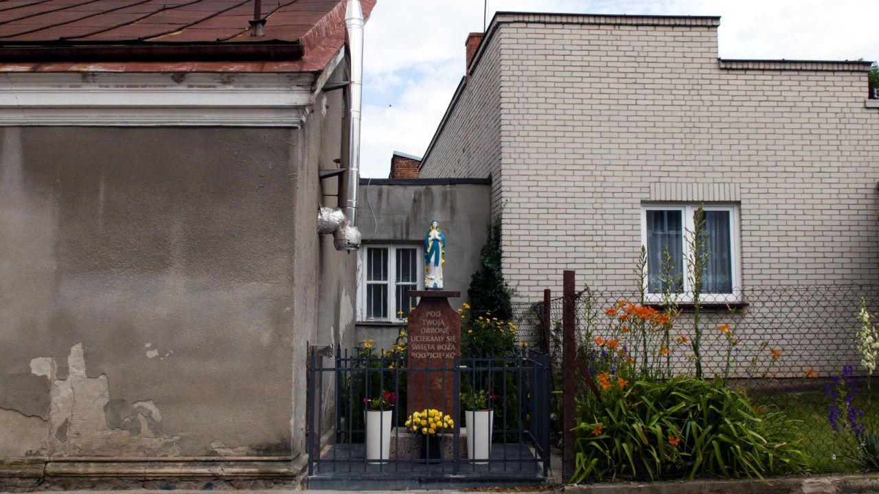 zdjęcie